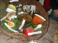 DSCN4497 DSCN4497