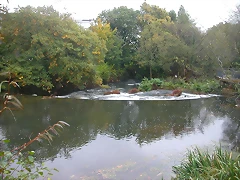DSCN4474 DSCN4474