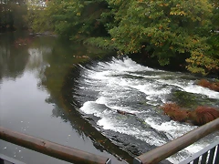 DSCN4475 DSCN4475