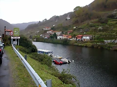 DSCN8268