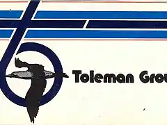 unbranded-toleman-group-logo-sticker-13cm-x-7cm-