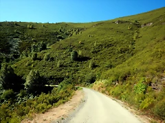 DSCN0092 DSCN0092