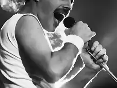 freddie-mercury-3