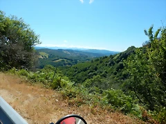 DSCN7593