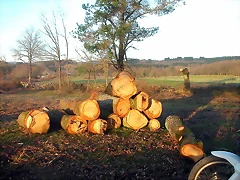 DSCN5816 DSCN5816