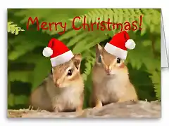 merry_christmas_santa_chipmunks_card-rd6a45c30012242e1809fb3198a14c10b_xvuak_8byvr_512