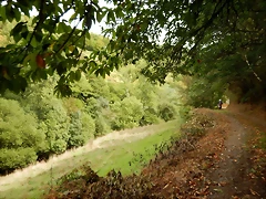 DSCN9746 DSCN9746