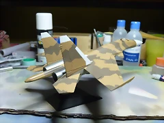 P1060085 P1060085