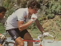 PEDRO DELGADO TOUR 1983