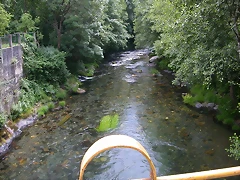 DSCN2233 DSCN2233