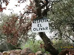 01, respeten el olivar, marca