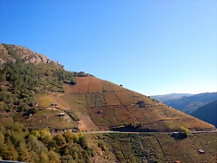 DSCN0888 DSCN0888