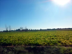 DSCN8245 DSCN8245