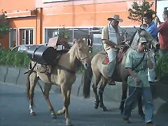 CABALGATA FERIA DE MANIZALES, COLOMBIA