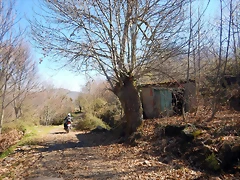 DSCN2593 DSCN2593