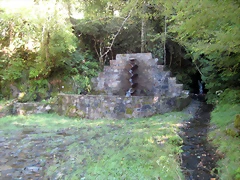 IMG_1083 IMG_1083