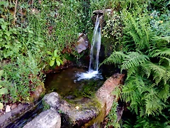 DSCN7517 DSCN7517
