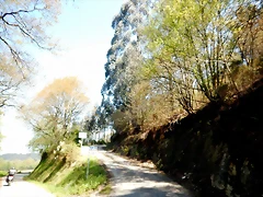 DSCN4936 DSCN4936