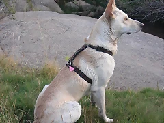 DSCN2422