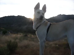 DSCN2427