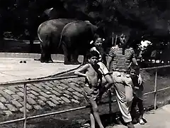 zooBCN1970 copia