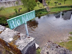 DSCN0558 DSCN0558