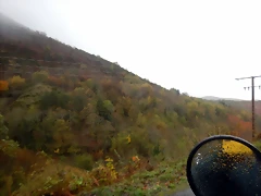 DSCN2784 DSCN2784