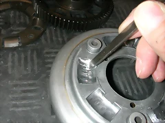 DSCN1955 DSCN1955