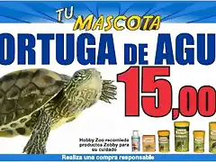 tortuga agua