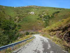 DSCN0226 DSCN0226