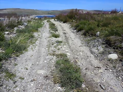 137-Imagen 147 137-Imagen 147