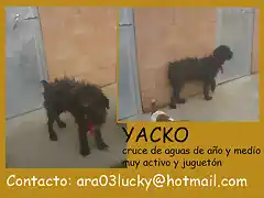 YACKO Crdoba