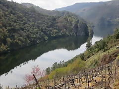 s rio abajo s rio abajo