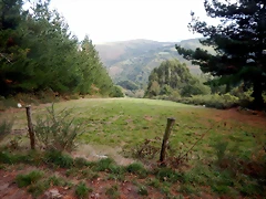 DSCN8478