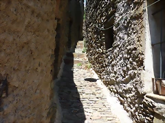 P1070209 P1070209