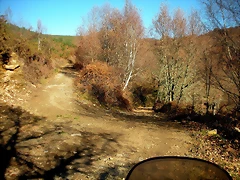 DSCN2281 DSCN2281