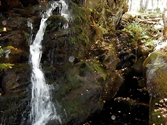 DSCN7885 DSCN7885