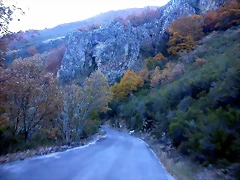 DSCN6961