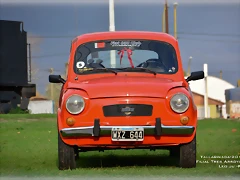 DSC_0619 DSC_0619