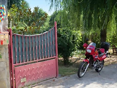 IMG_7914 IMG_7914
