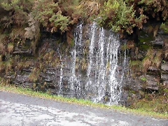 DSCN7151 DSCN7151