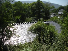 DSCN5782