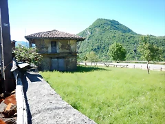 DSCN6785 DSCN6785
