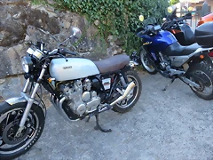 IMG_3928 IMG_3928