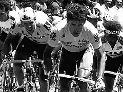 Perico-Vuelta1989-Pino-Cabestany