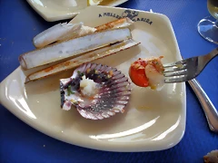 DSCN6779 DSCN6779