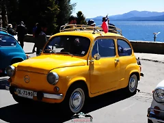 CAS_4049 CAS_4049