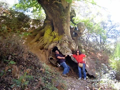 IMG_0235 IMG_0235