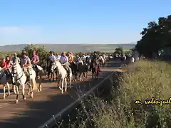 caballos por la carretera, marca