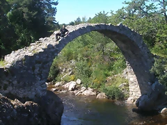 P1010074 P1010074